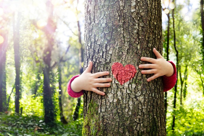 Dječje ruke grle stablo s naslikanim crvenim srcem na njegovom deblu, simbolizirajući ljubav prema prirodi